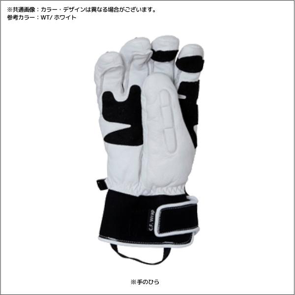フェニックス（PHENIX） 20-21 【スキーグローブ/限定品】Racing
