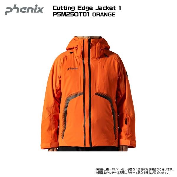 英国 PB社 Phoenix フェニックス 1/8 GPカー　ジャンクパーツ 英国 PB社 Phoenix フェニックス 1/8 GPカー ジャンクパーツ