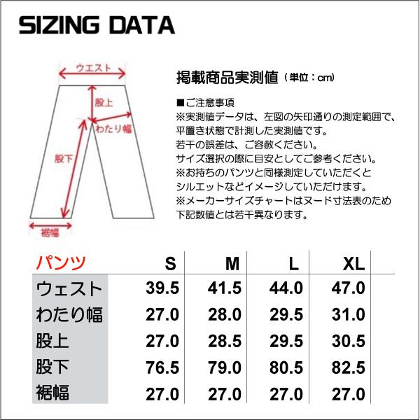 SALOMON（サロモン） 19-20 【スキーパンツ/旧品】 ICEGLORY PANT M