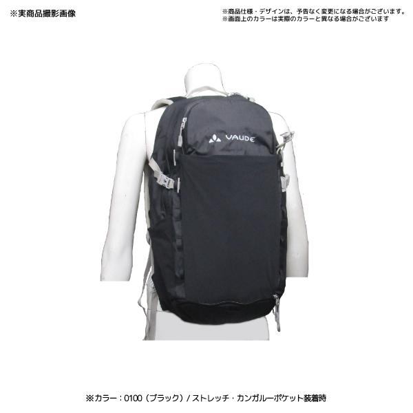 VAUDE（ファウデ） 【在庫処分セール】Varyd 20 WS（バリード 20
