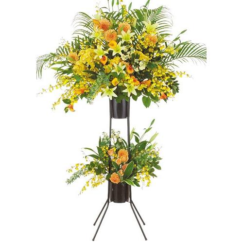 驚きの値段 スタンドダブルaフラワー 花 フラワー 開業祝い 生花 誕生日 記念日 超目玉 Www Muslimaidusa Org