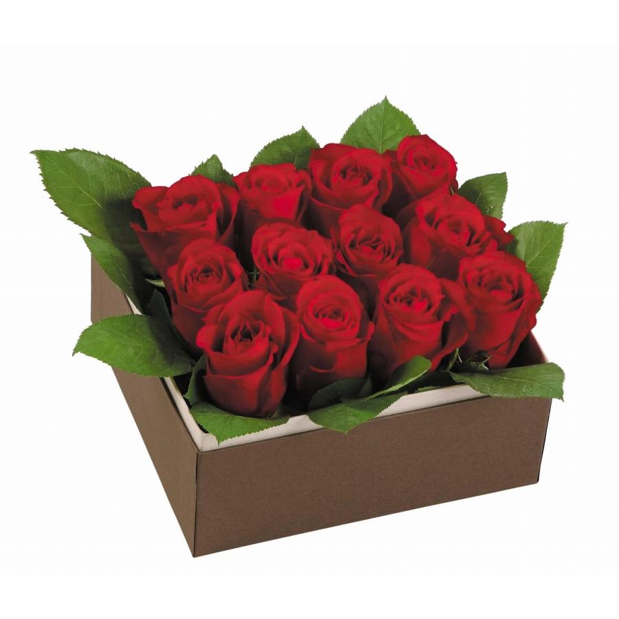 ローズboxアレンジメントｌ赤アレンジメントフラワー アレンジメントフラワー アレンジメント花 フラワーアレンジメント 人気アレンジメント 誕生日 リンクフローリスト 通販 Yahoo ショッピング