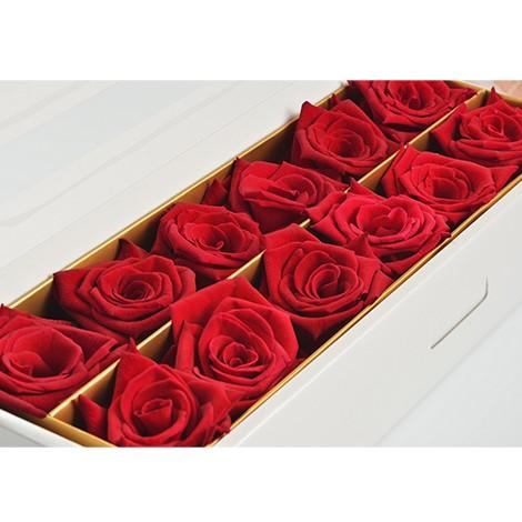クラシック Rose Bath ばらお風呂 バラ風呂ローズバス バラのお風呂 薔薇お風呂 バスローズ バラお風呂 ばらのお風呂 薔薇のお風呂 ダズンローズバス 鉢花