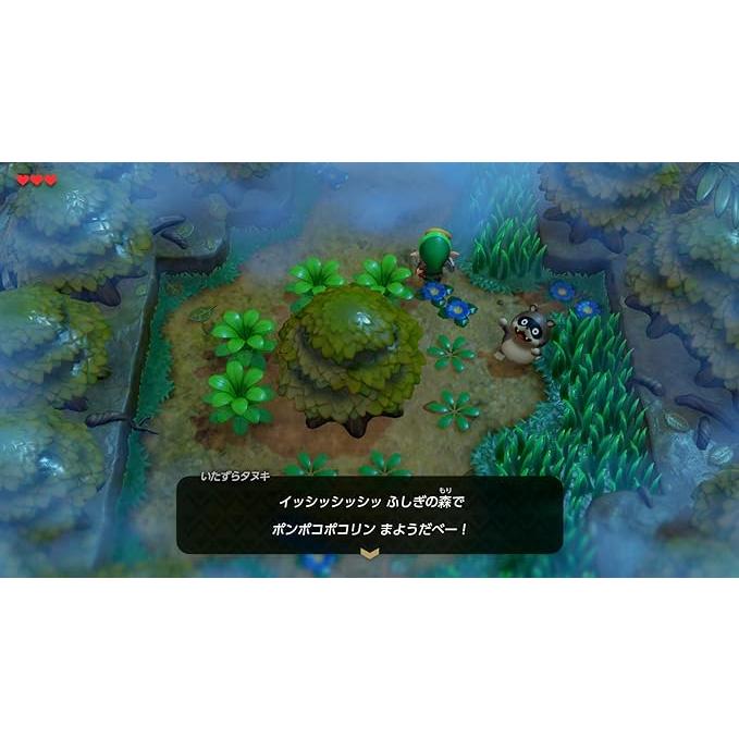 ゼルダの伝説 夢をみる島 ARTBOOK SET -Switch Nintendo Switchソフト『ゼルダの伝説