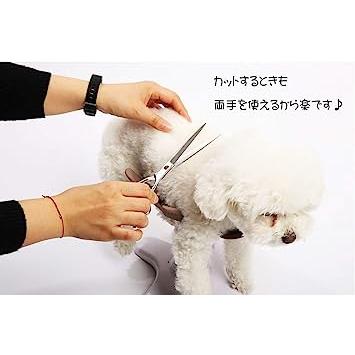 新作マット・カーペット サムソンサロン Samson Salon 犬 猫 ドッグフード トリミング トリマー バリカン 美容院 動物病院 ペット フード シニア 【2166638258】(11648円)