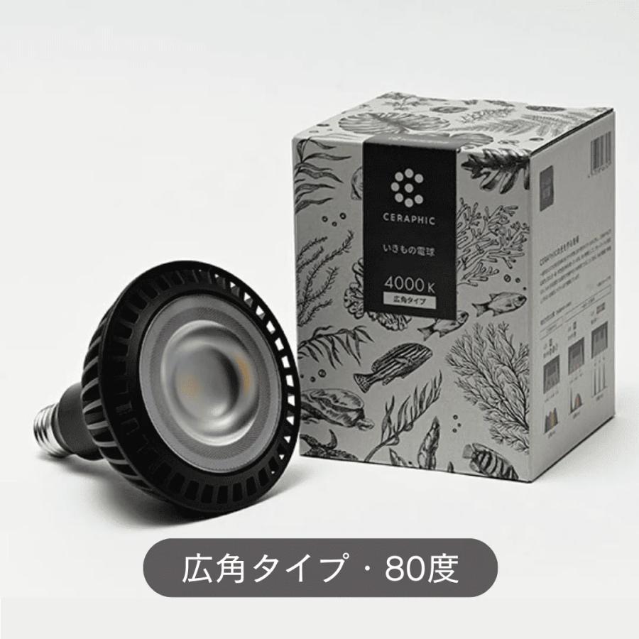 CERAPHIC（セラフィック）いきもの電球 5000K（広角）【KYOCERA