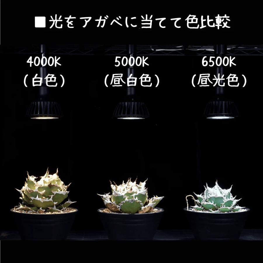 CERAPHIC（セラフィック）いきもの電球 5000K（広角）【KYOCERA