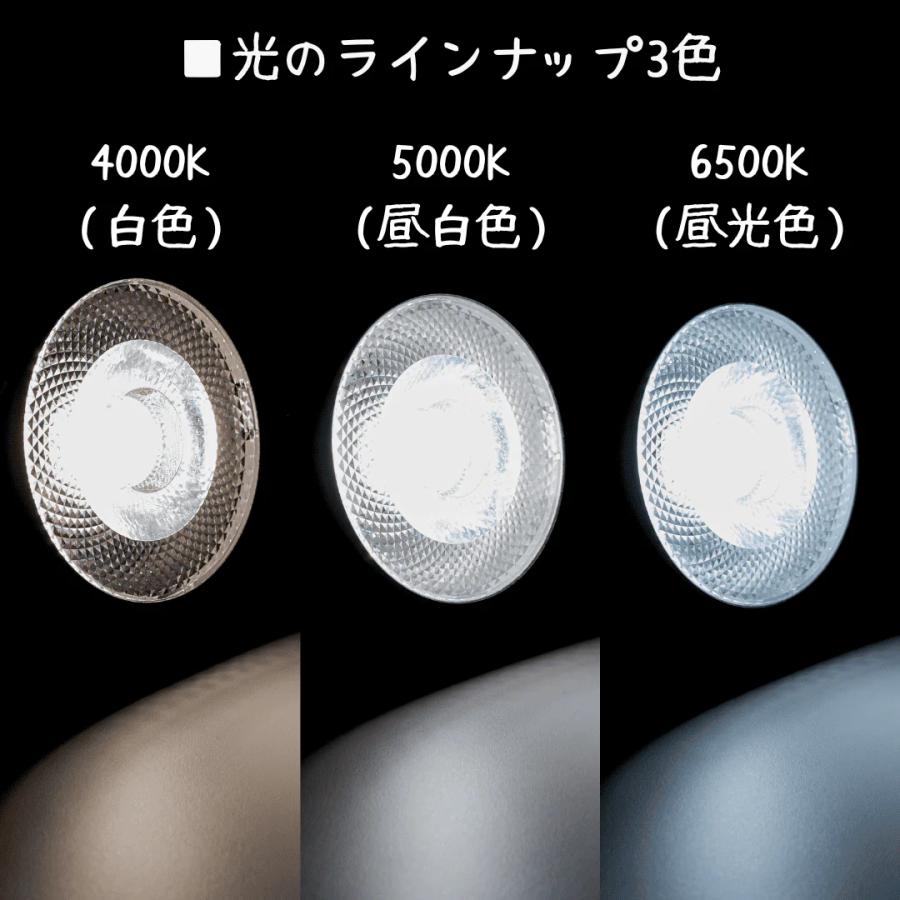 京セラ　CERAPHIC いきもの電球　5000K CERAPHIC（セラフィック）いきもの電球 5000K（広角）【KYOCERA