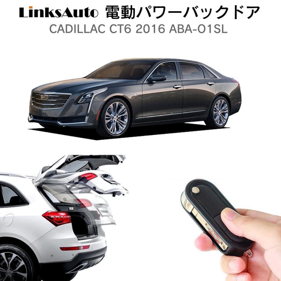 1/64　Cadillac lowrider　車高上げ下げ可能 トランク開閉 キャデラックフリートウッド LOWRIDER AIR SUSPENSION CUSTOM