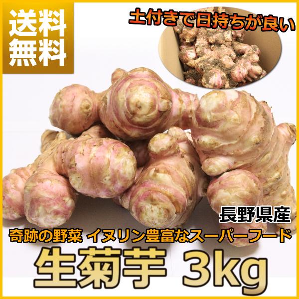 菊芋 キクイモ 生 3kg 土付き 日持ちが良い イヌリン 長野県産 食物繊維  スーパーフード 血糖値 中性脂肪 栄養素 | 