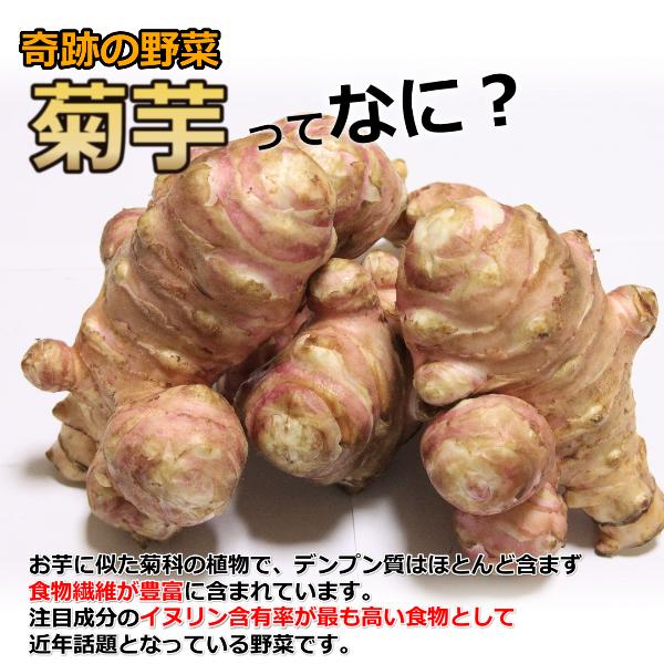 菊芋 キクイモ 生 6kg 土付き 日持ちが良い イヌリン 長野県産 食物繊維  スーパーフード 血糖値 中性脂肪 栄養素 |  | 01