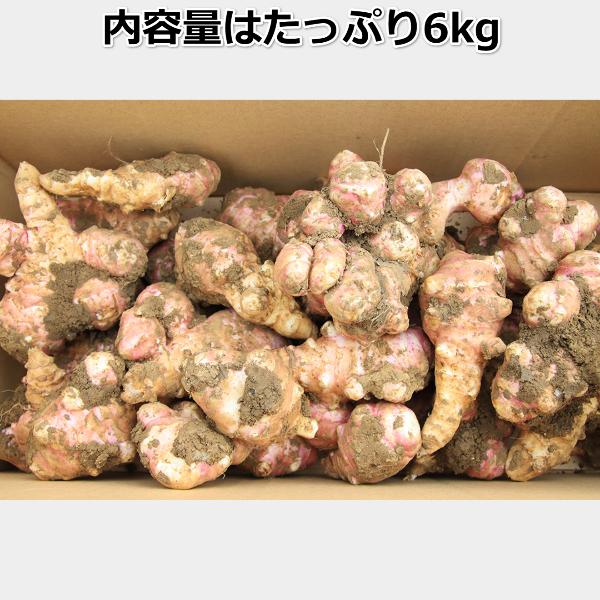 菊芋 キクイモ 生 6kg 土付き 日持ちが良い イヌリン 長野県産 食物繊維  スーパーフード 血糖値 中性脂肪 栄養素 |  | 05
