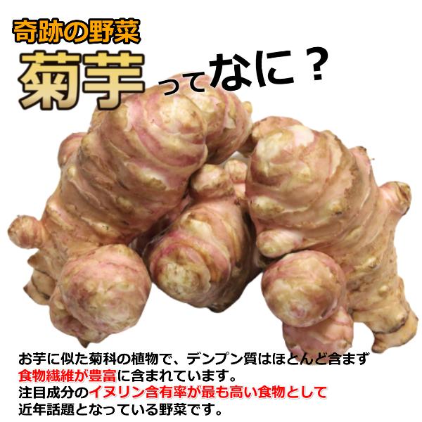菊芋 みそ漬け 漬物 キクイモ 酒粕 味噌漬け 長野県産 イヌリン 豊富 食物繊維 スーパーフード 紫菊芋 発酵食品 無農薬 菊芋 使用 250g 菊芋の食べ方 レシピ |  | 01