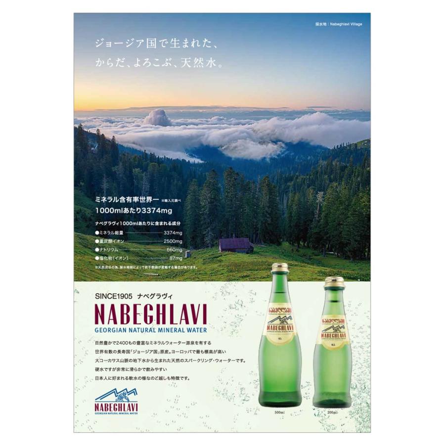 Nabeghlavi ナベグラヴィ 500ml × 12本 1ケース 炭酸水 天然炭酸水 ミネラルウオーター 美肌 美的 |  | 06