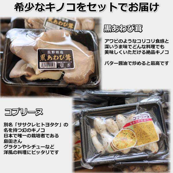 長野県産 黒あわび茸 コプリーヌ セット 500g きのこ お取り寄せ 美味しい 絶品キノコ ギフト お中元 父の日 母の日 プレゼント |  | 01