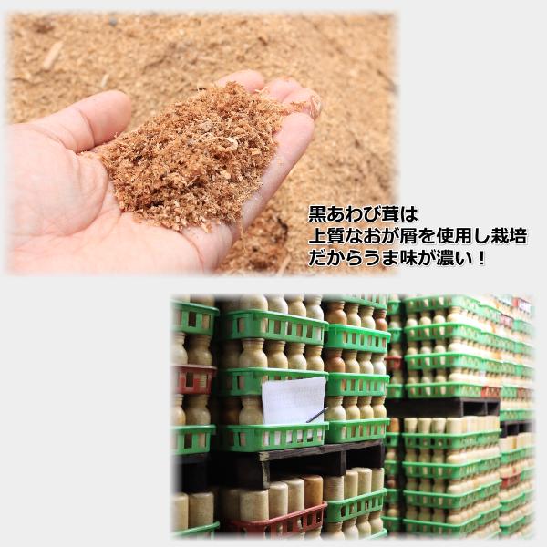 長野県産 黒あわび茸 コプリーヌ セット 500g きのこ お取り寄せ 美味しい 絶品キノコ ギフト お中元 父の日 母の日 プレゼント |  | 02