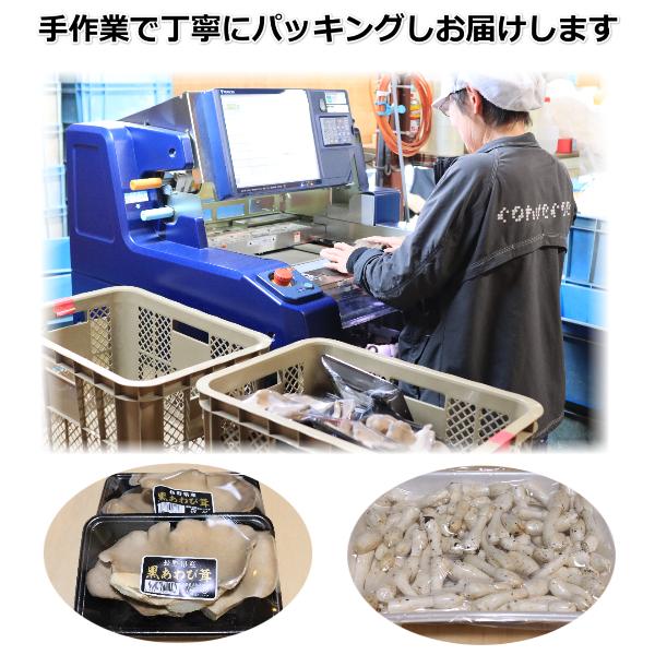 長野県産 黒あわび茸 コプリーヌ セット 500g きのこ お取り寄せ 美味しい 絶品キノコ ギフト お中元 父の日 母の日 プレゼント |  | 04