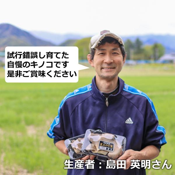 長野県産 黒あわび茸 コプリーヌ セット 500g きのこ お取り寄せ 美味しい 絶品キノコ ギフト お中元 父の日 母の日 プレゼント |  | 05