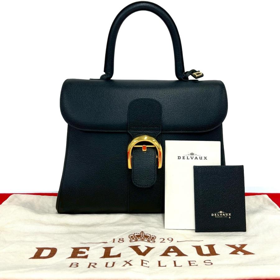 極 美品 希少品 保存袋付き DELVAUX デルヴォー ブリヨン MM ロゴ 金具 