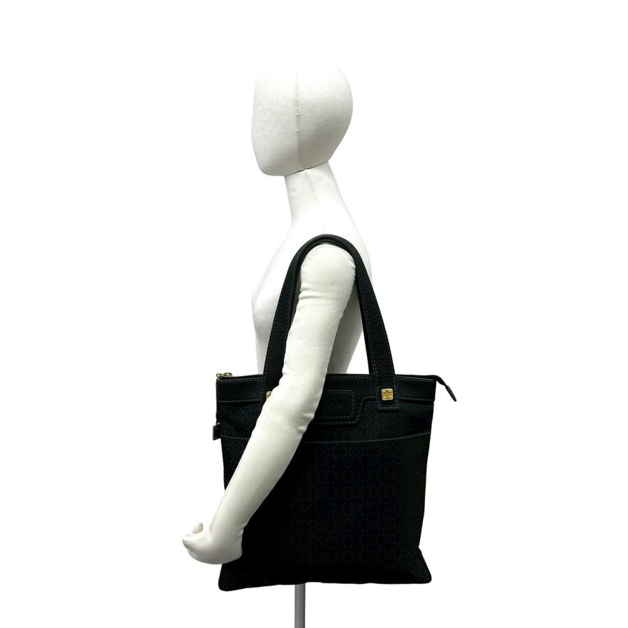 LOEWE（ロエベ） 極 美品 アナグラム 総柄 キャンバス レザー 本革