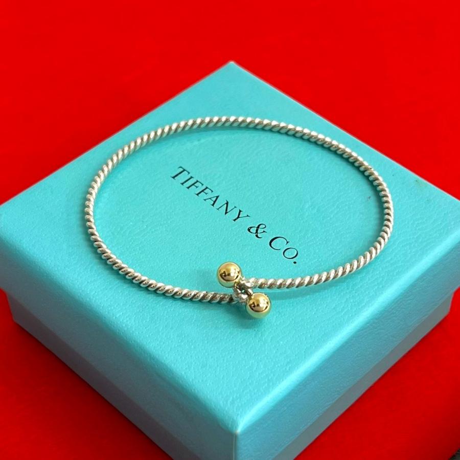 TIFFANY&Co.（ティファニー） 極 美品 ツイストフック＆アイ