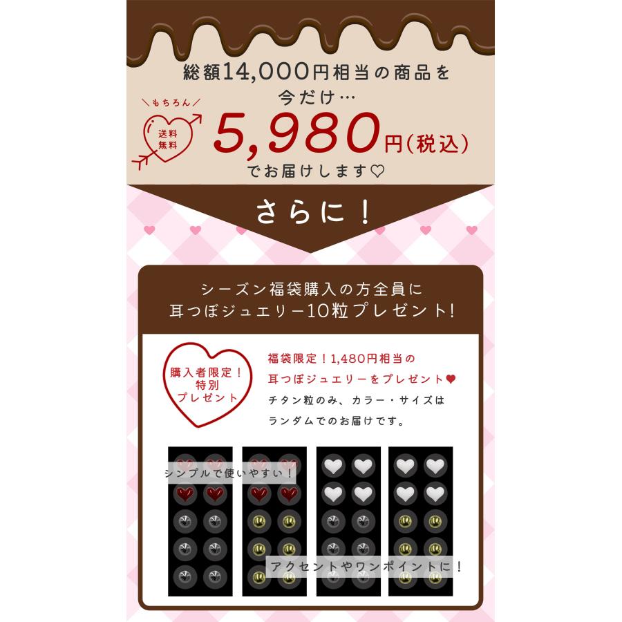 バレンタイン ホワイトデー 福袋 豪華10点セット 耳つぼジュエリー