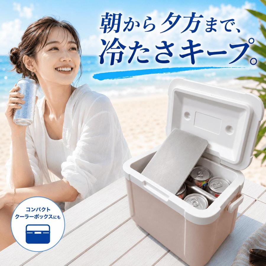 Breeze Time（ブリーズタイム） 保冷剤 ステンレス 2枚セット 長持ち