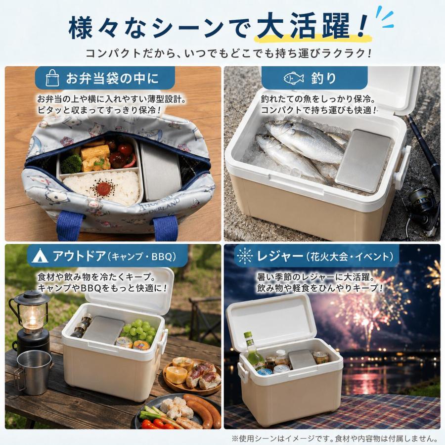 Breeze Time（ブリーズタイム） 保冷剤 ステンレス 2枚セット 長持ち