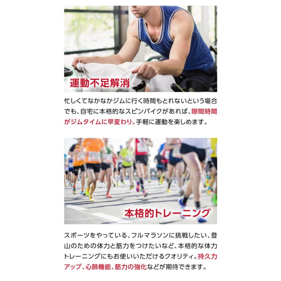 Mad Bull（マッドブル） スピンバイク 8kgホイール 静音設計 