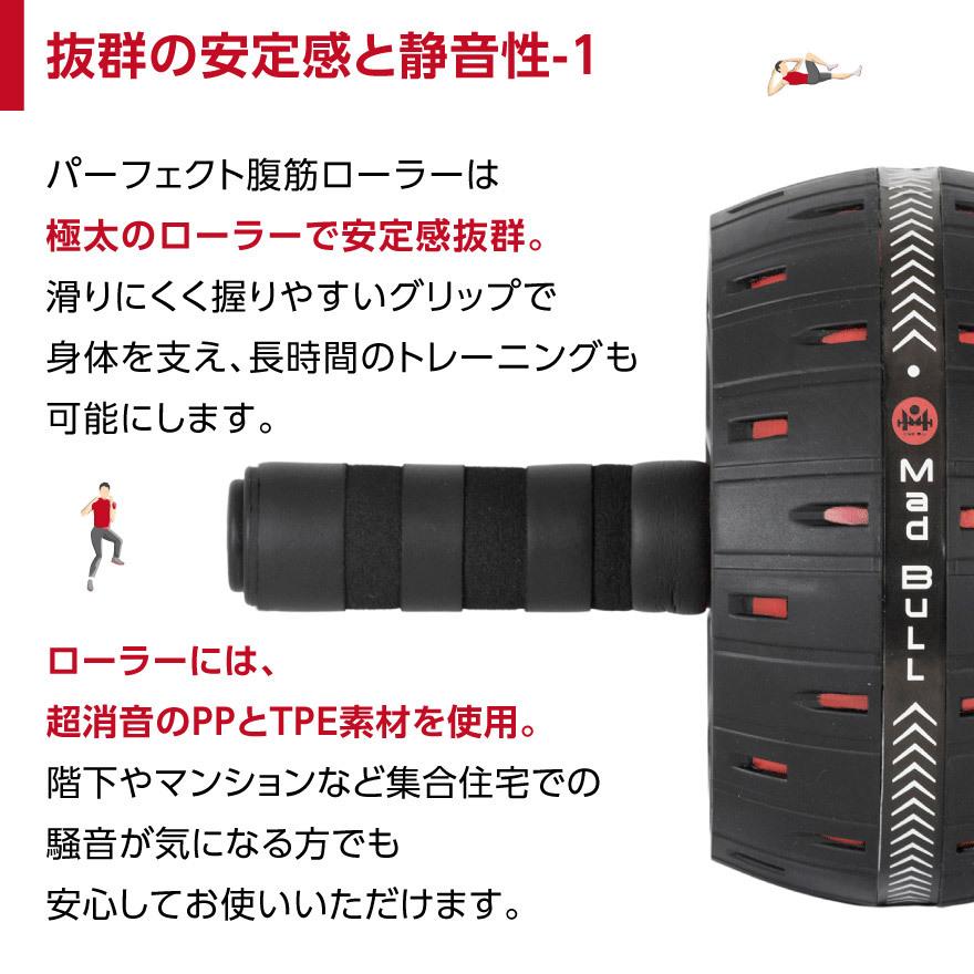 Mad Bull（マッドブル） P 腹筋ローラー H プッシュアップバー 2点
