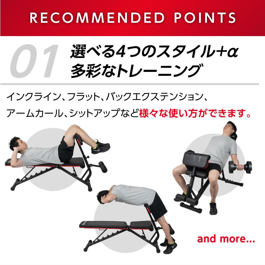 Mad Bull インクラインベンチ マルチ ウェイト トレーニング Mad Bull インクラインベンチ マルチ ウェイト トレーニング