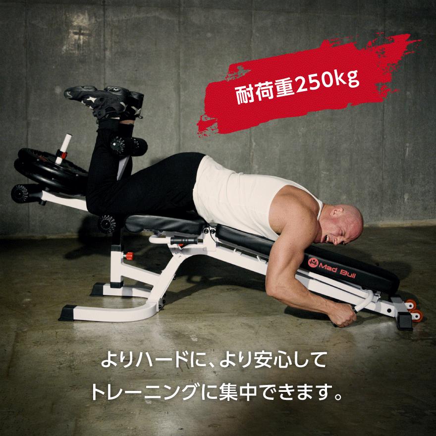 Mad Bull トレーニングベンチ 角度調整可 レッグトレーニング Mad Bull トレーニングベンチ 角度調整可 レッグトレーニング