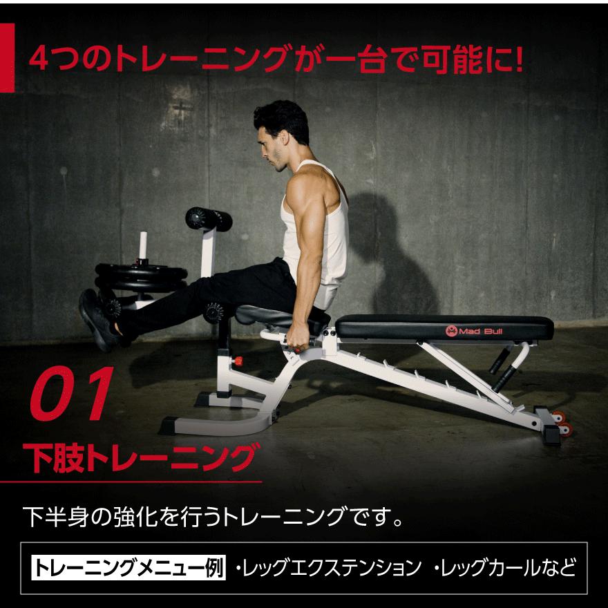 Mad Bull トレーニングベンチ 角度調整可 レッグトレーニング Mad Bull トレーニングベンチ 角度調整可 レッグトレーニング