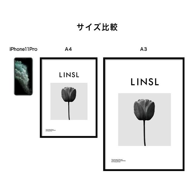 A0025/文字/アートポスター/インテリア/モダン/ウォールデコレーション/壁掛け/アートパネル/写真/花/ボタニカル | ブランド登録なし | 05