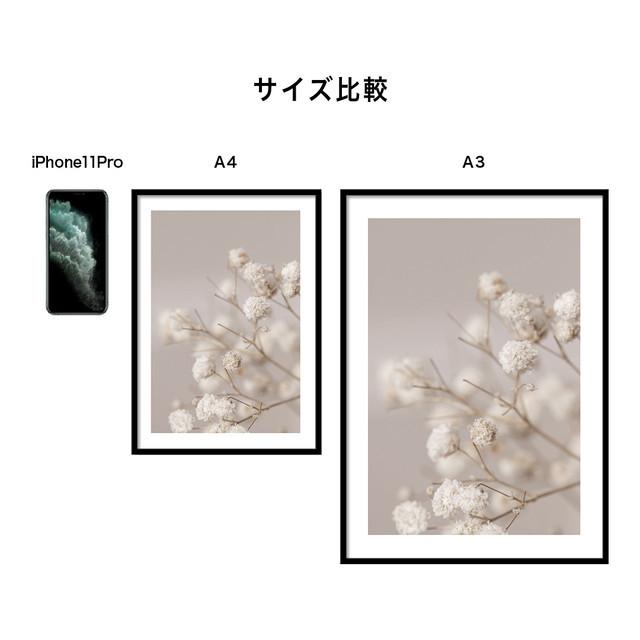 A0101/写真/アートポスター/インテリア/モダン/ウォールデコレーション/壁掛け/アートパネル/ボタニカル/植物/花 | ブランド登録なし | 06