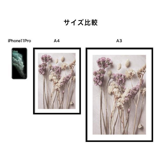 A0102/写真/アートポスター/インテリア/モダン/ウォールデコレーション/壁掛け/アートパネル/ボタニカル/花/植物 | ブランド登録なし | 06