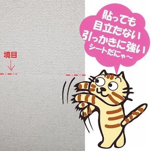 爪とぎ防止シート 半透明 壁に貼る ひっかき防止 30cm角×3枚入 : プチ