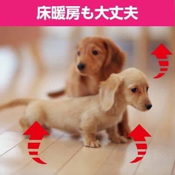 フローリング保護シート フローリング 床 保護 防水 シート 透明 徳用 滑らない 床 ペットトイレ　リビング保護　45cm×5m |  | 10