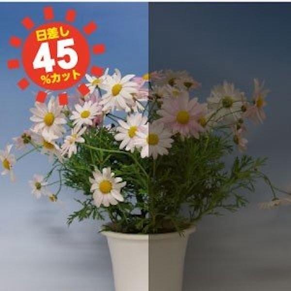 窓ガラス UVカットフィルム 紫外線対策 紫外線を99％カットする すっきりクリア ブラウンフィルム SL 46cm × 2m |  | 04