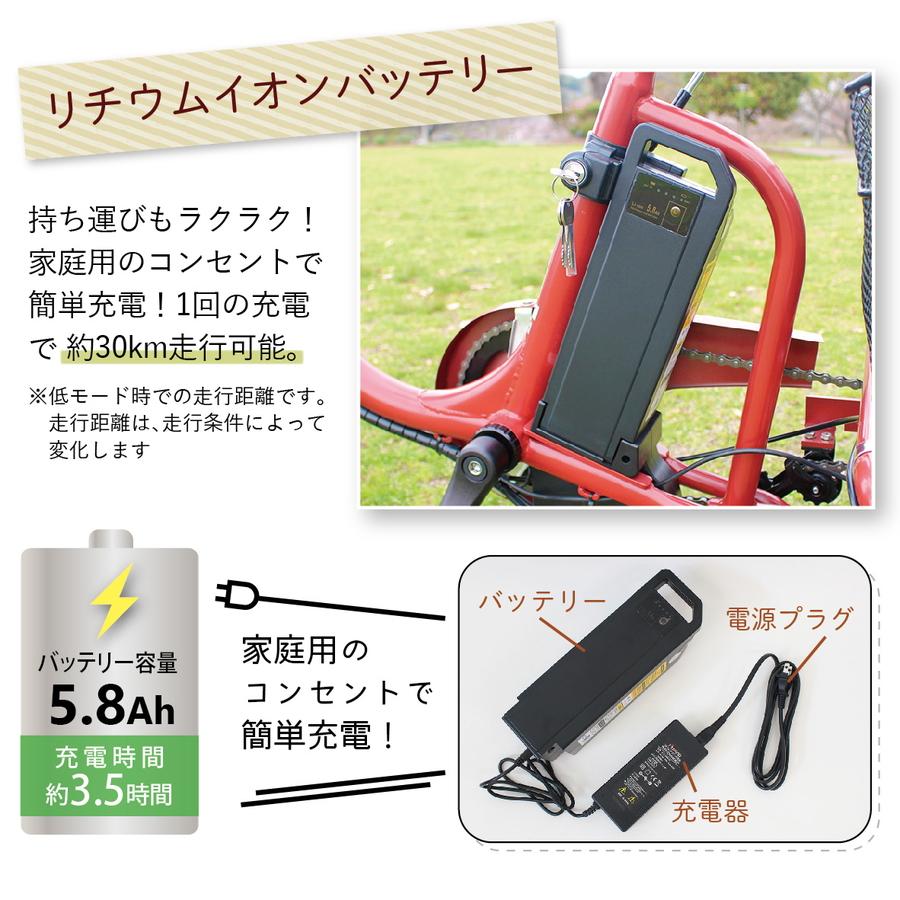 電動アシスト三輪自転車 イ−パ−トン BEPN18 大人用  ロータイプ カラー：ホワイトは残り僅か｜liolio-shop｜07