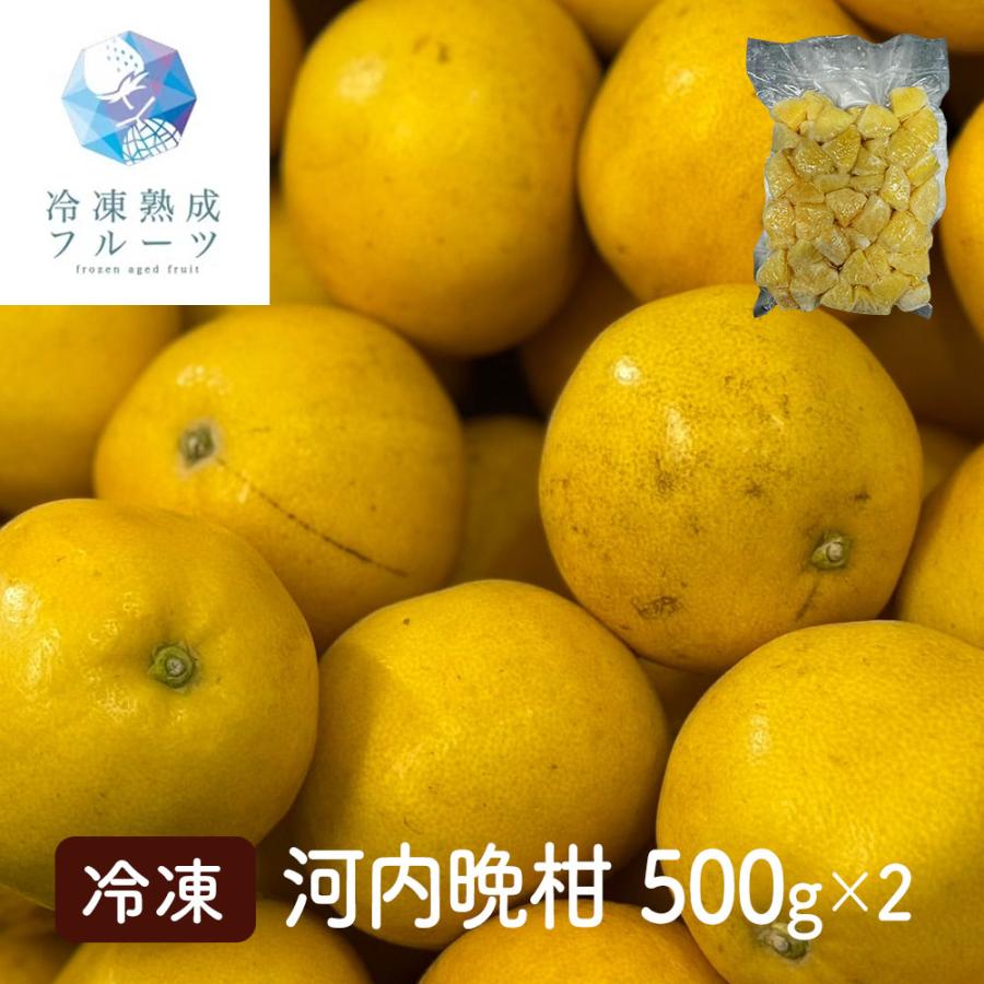 河内晩柑 500g×2パック / 冷凍フルーツ デザート みかん ミカン