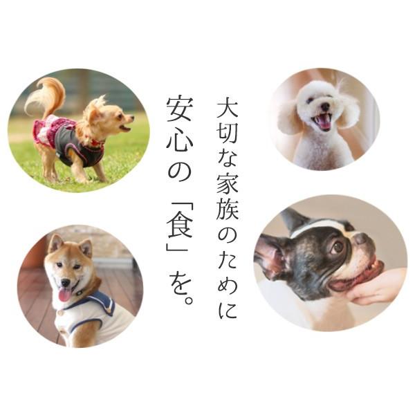 ブッチ ドッグフード ブッチ800g 選べる4本セット レーベル