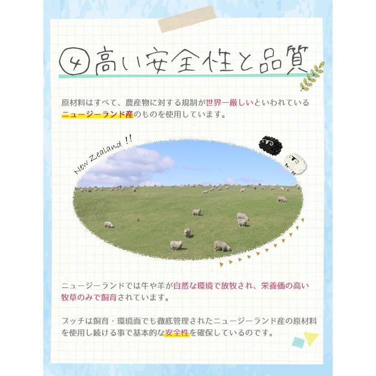 ブッチ ドッグフード ブッチ800g 選べる4本セット レーベル