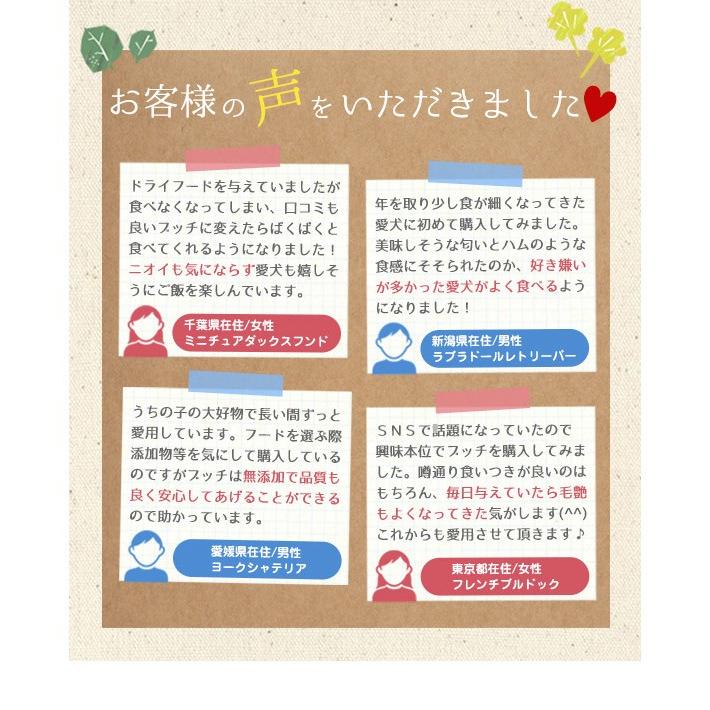 ブッチ ドッグフード ブッチ800g 選べる4本セット レーベル