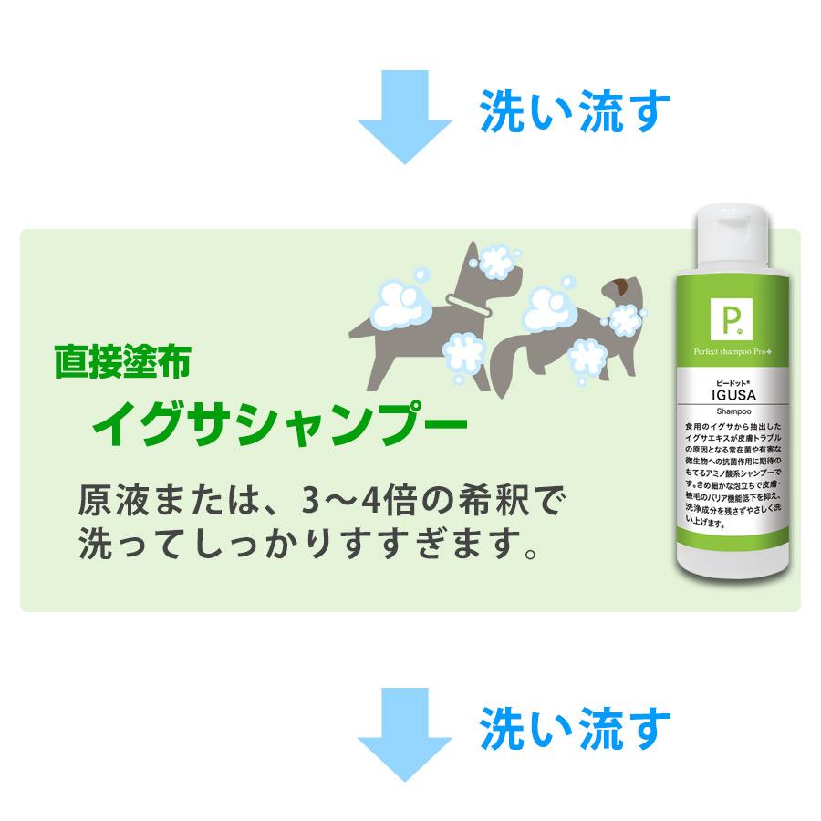 犬 シャンプー P. ピードット Eタイプ ベタベタ・臭い・湿疹対策5点セット 500ml 臨床獣医師監修 フェレット 猫 ペット用シャンプー アミノ酸系シャンプー_5