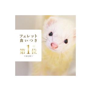 ヘルスチャージ フェレットフード ジャパンフェレミアム1.5kg ヘルス