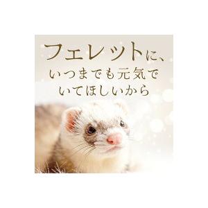 ヘルスチャージ フェレットフード ジャパンフェレミアム1.5kg ヘルス