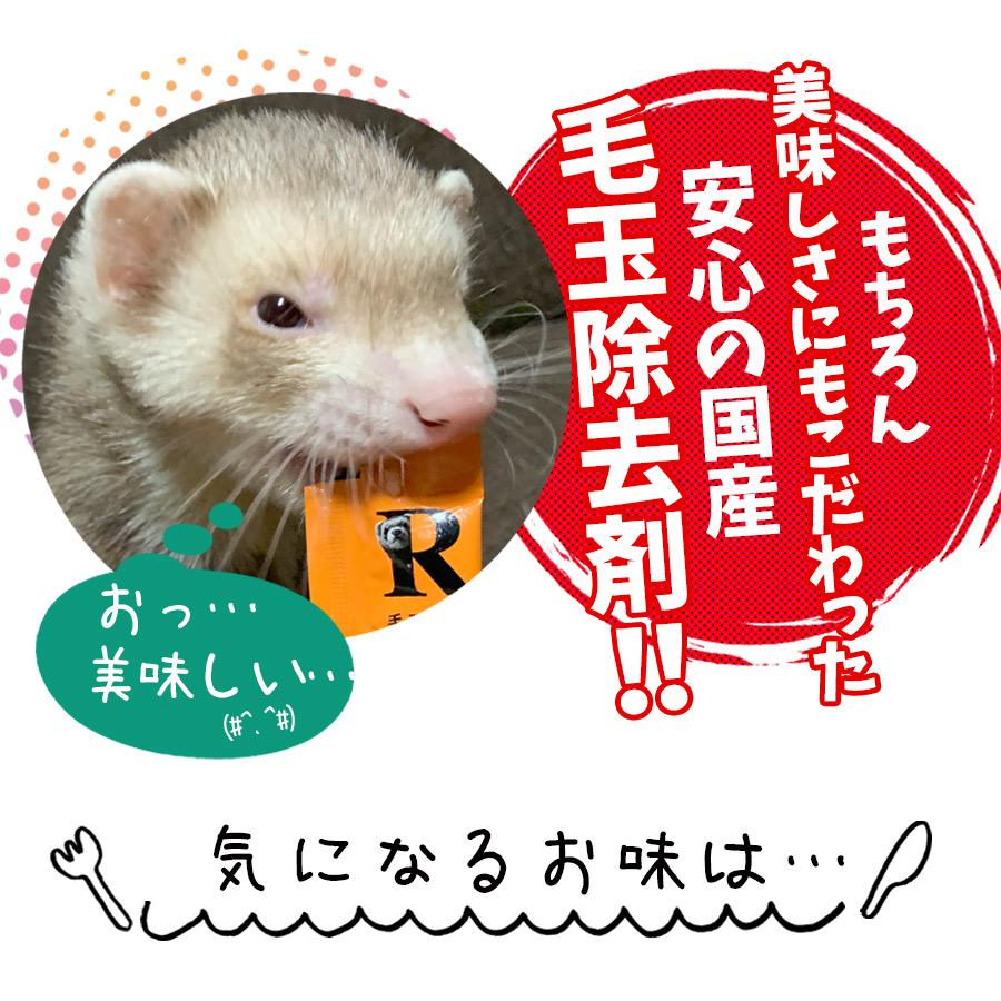 ヘルスチャージ フェレット サプリメント ヘルスチャージ-R 毛玉ケアEX