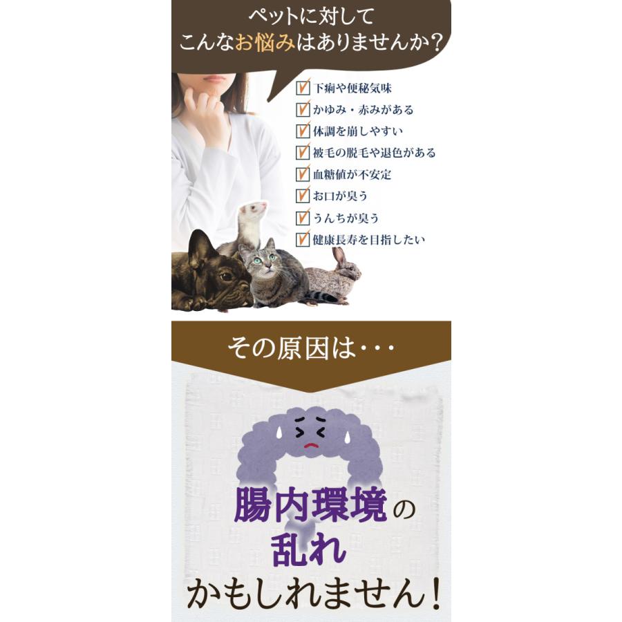 犬 サプリメント 正規品 ヘルスチャージ K 1g 10包入り ケストース オリゴ糖 腸活 栄養補給 健康維持 オールステージ対応 国産 乳酸菌 整腸 L I P Yahoo 店 通販 Yahoo ショッピング
