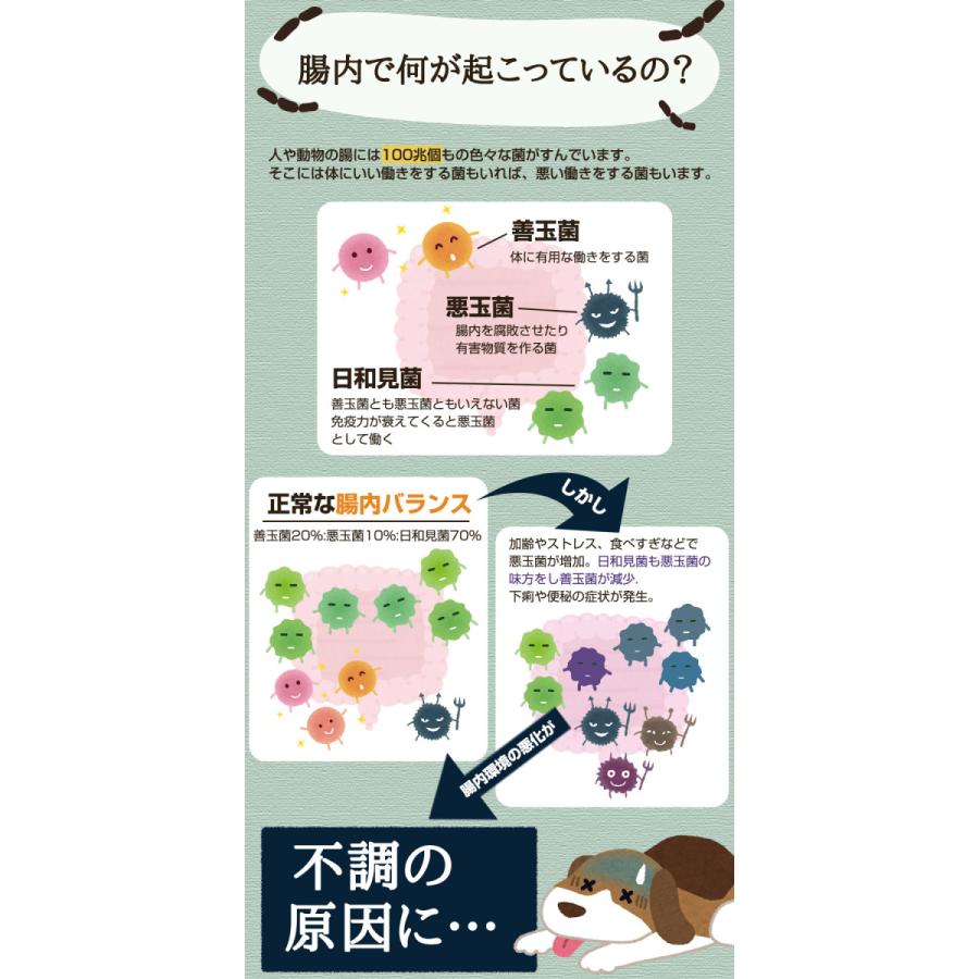 犬 サプリメント 正規品 ヘルスチャージ K 1g 10包入り ケストース オリゴ糖 腸活 栄養補給 健康維持 オールステージ対応 国産 乳酸菌 整腸 L I P Yahoo 店 通販 Yahoo ショッピング
